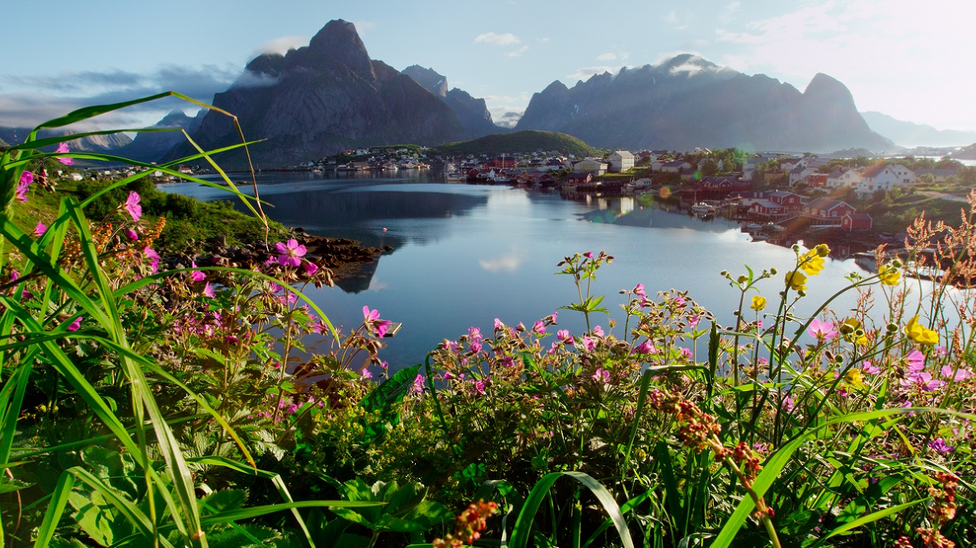 Reine